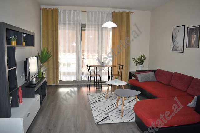 Apartament 1+1 me qera ne rrugen e Kavajes ne Tirane (TRR-1118-27E)